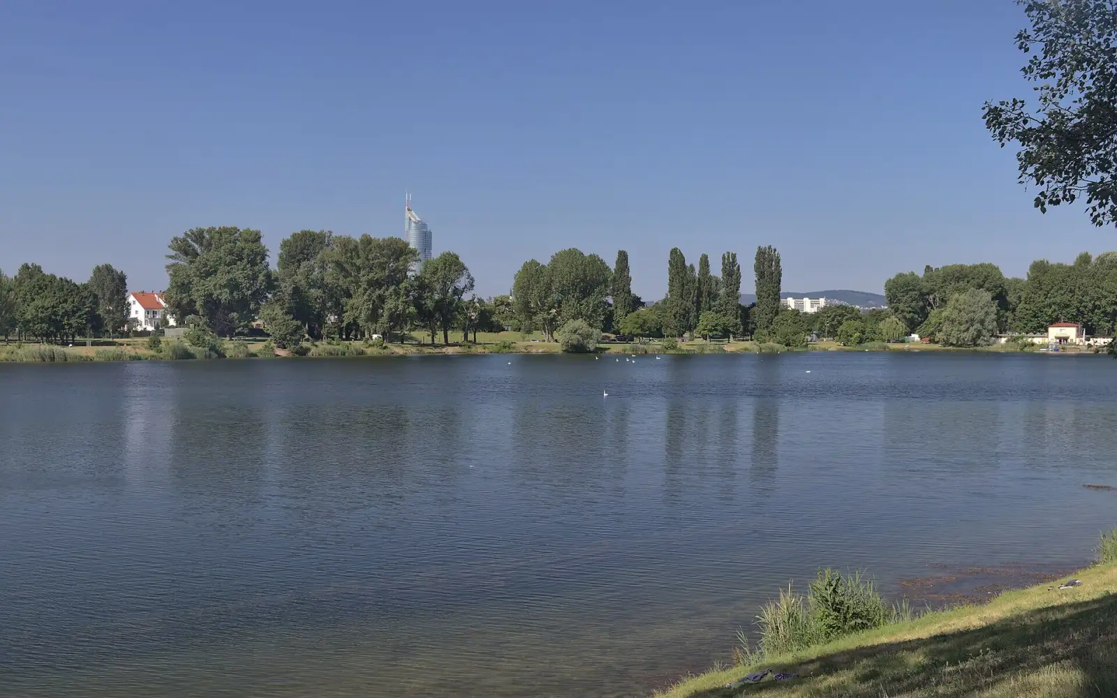 Die Obere Alte Donau in Floridsdorf