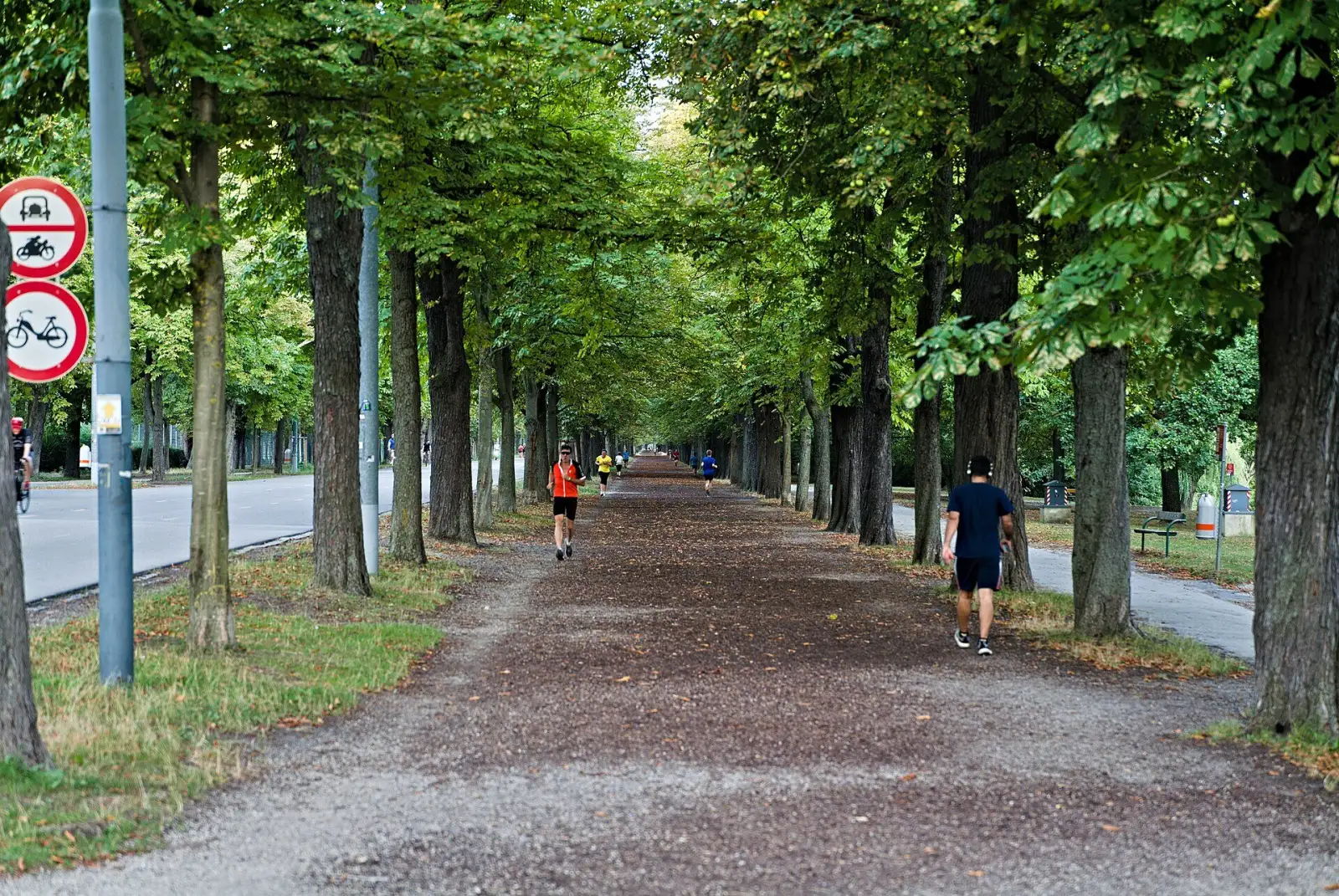 Die Prater Hauptallee, eine der bekanntesten Laufstrecken in Wien