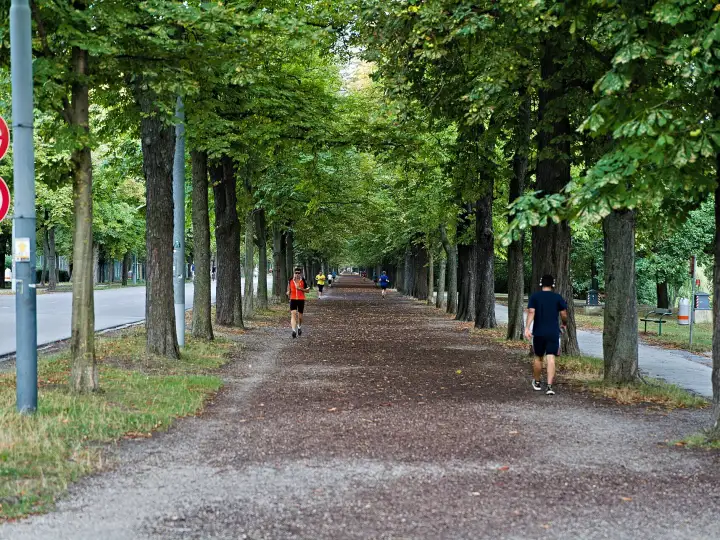 Die Prater Hauptallee, eine der bekanntesten Laufstrecken in Wien