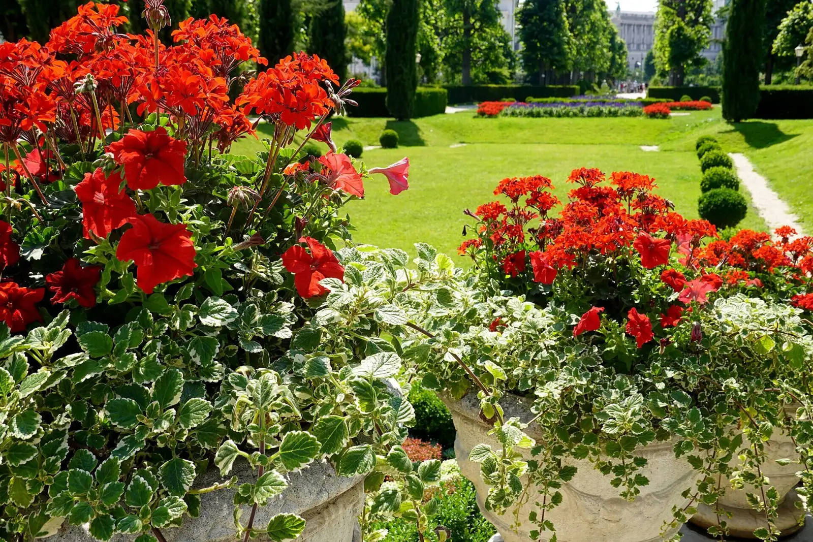 Blumenschmuck am Kaiserin-Elisabeth-Denkmal im Volksgarten
