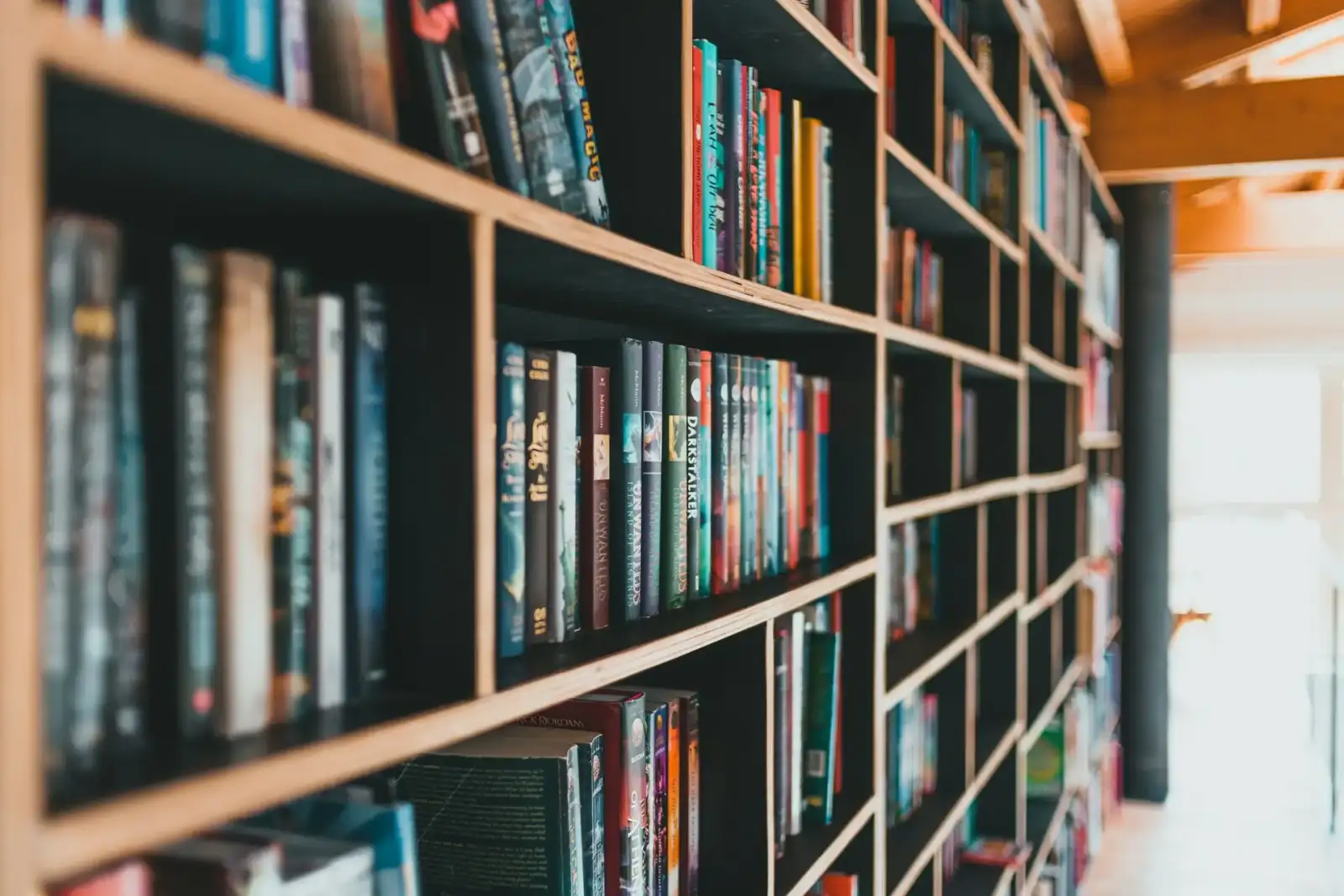 Bücherei Wien: Holzregale mit vielen Büchern in einem hellen Raum, im Hintergrund unscharf