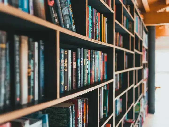 Bücherei Wien: Holzregale mit vielen Büchern in einem hellen Raum, im Hintergrund unscharf