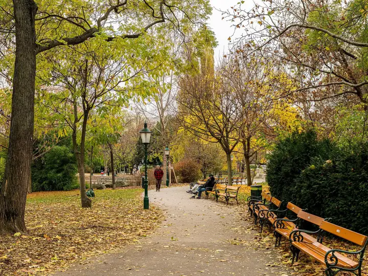 Herbstlicher Weg im Wiener Stadtpark