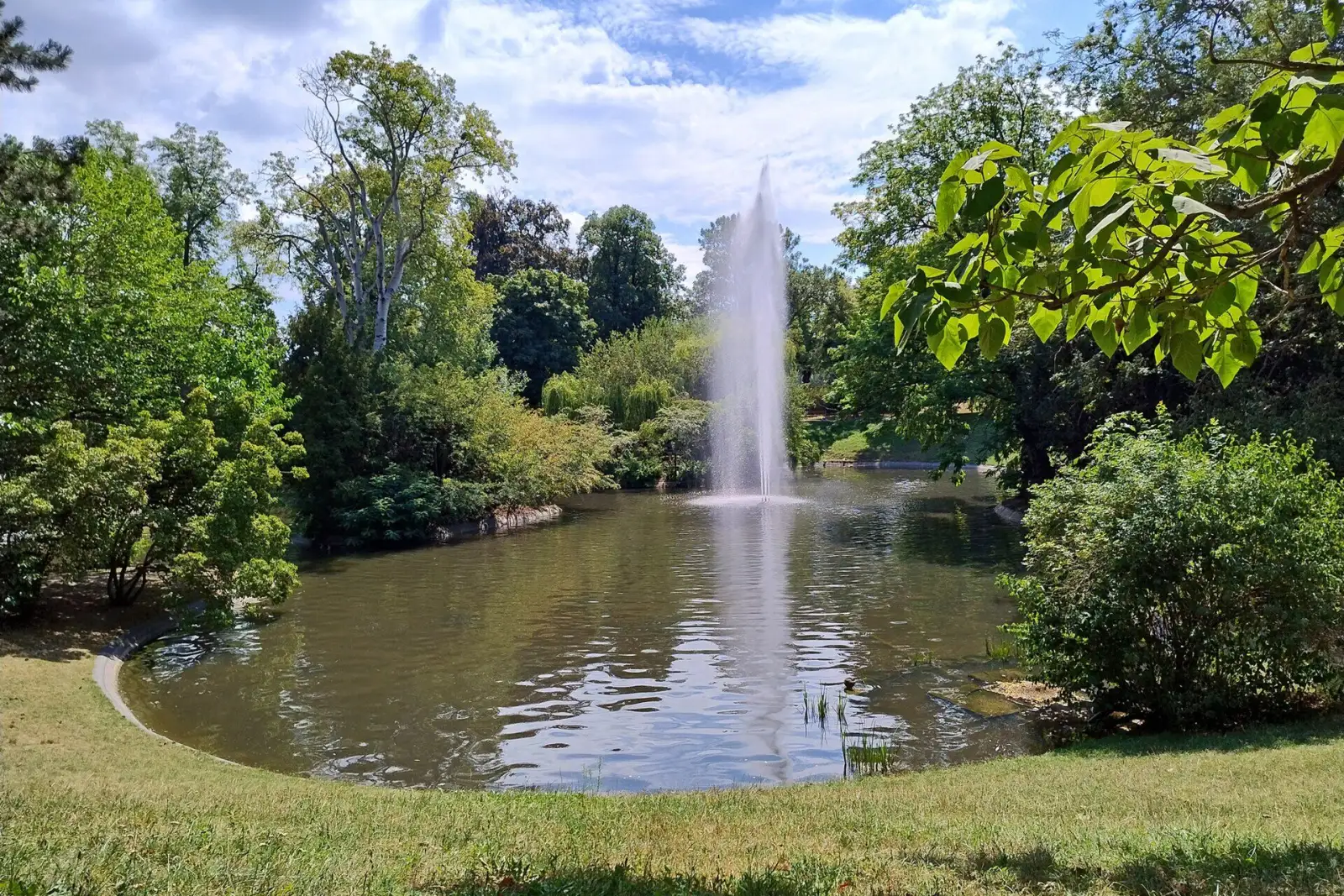 Teich mit Fontäne im Türkenschanzpark