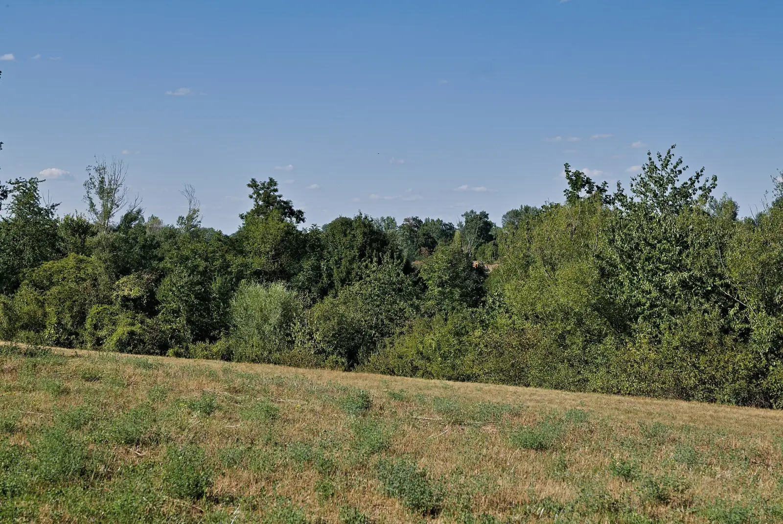 Weg auf der Donauinsel bei der Steinspornbrücke