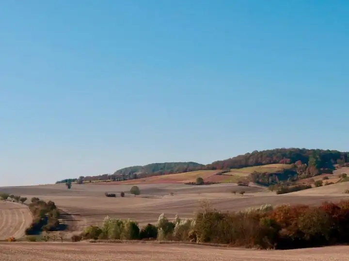 Weinberge im Herbst, Symbolbild für Ausflugsziele rund um Wien
