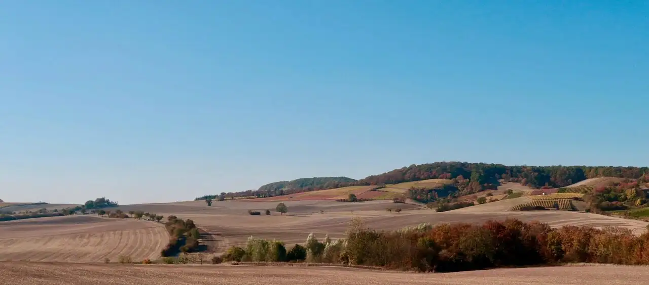 Weinberge im Herbst, Symbolbild für Ausflugsziele rund um Wien