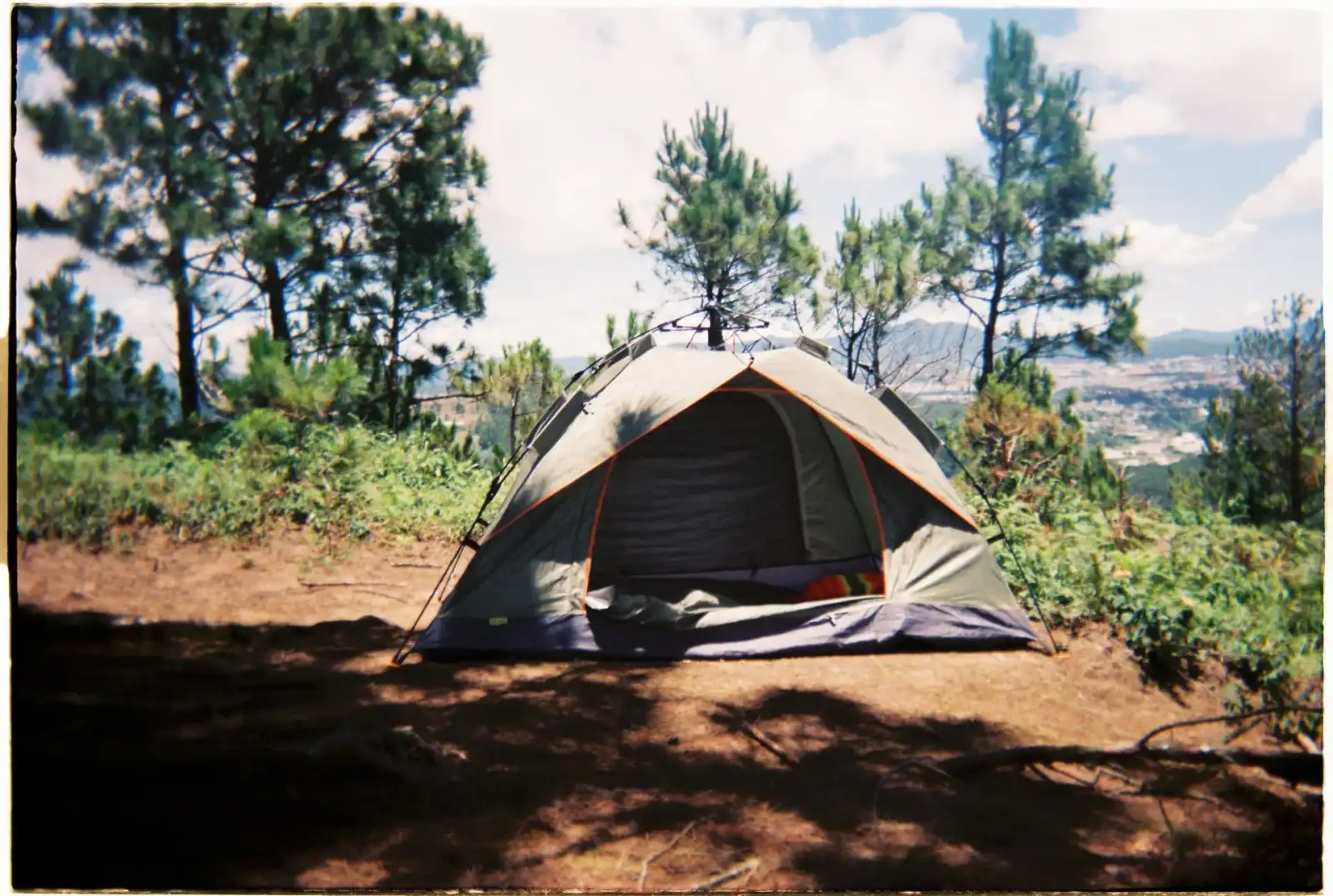 Zelt zwischen Bäumen auf einer Wiese, Symbolbild für Campingplätze Wien