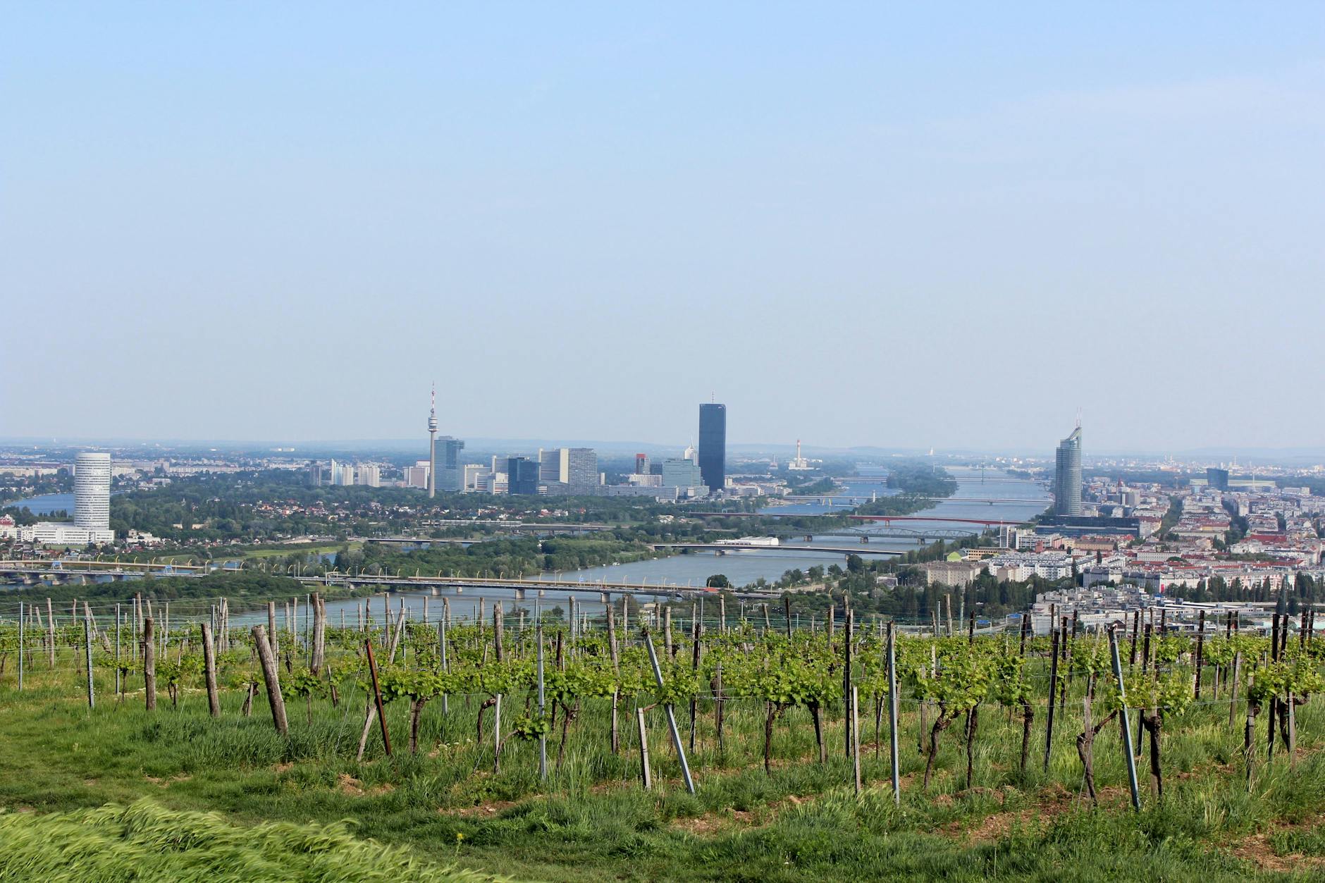 Experience the stunning Vienna skyline and lush vineyards from a breathtaking vantage point.